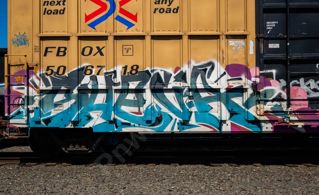 FBOX506718 - NORTH-AMERICA
