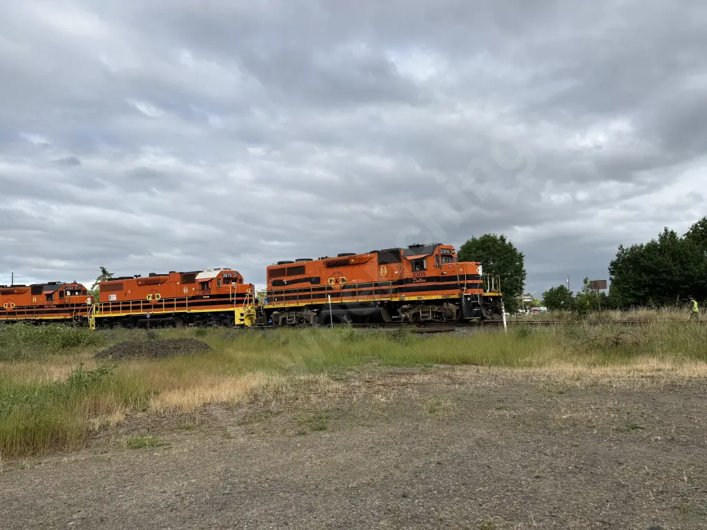 PNWR2305 - NORTH-AMERICA