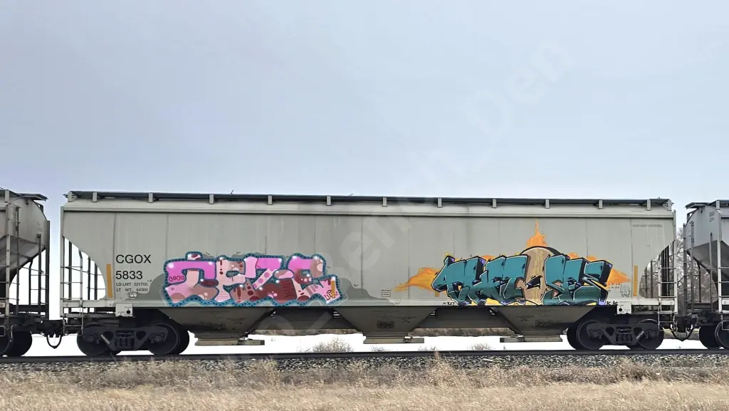 CGOX5833 - NORTH-AMERICA