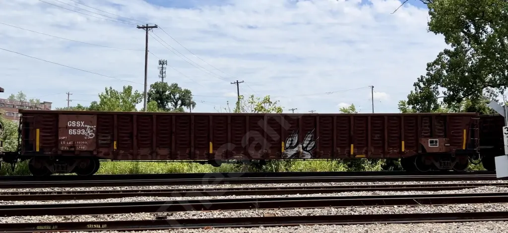 GSSX6593 - NORTH-AMERICA