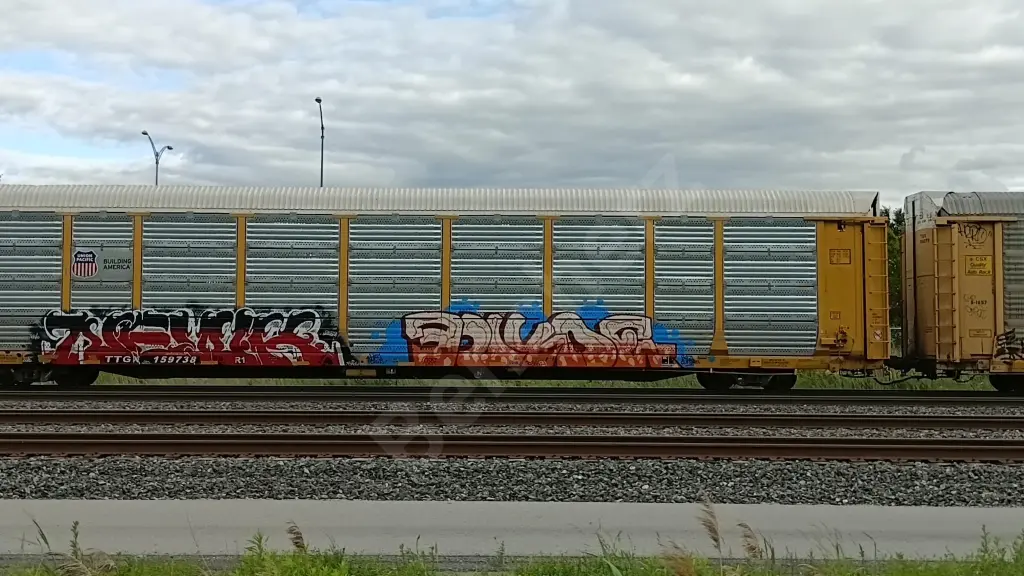 TTGX159738 - NORTH-AMERICA
