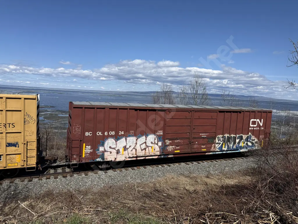 BCOL60824 - NORTH-AMERICA