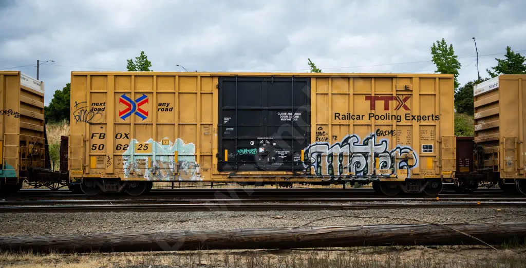 FBOX506225 - NORTH-AMERICA