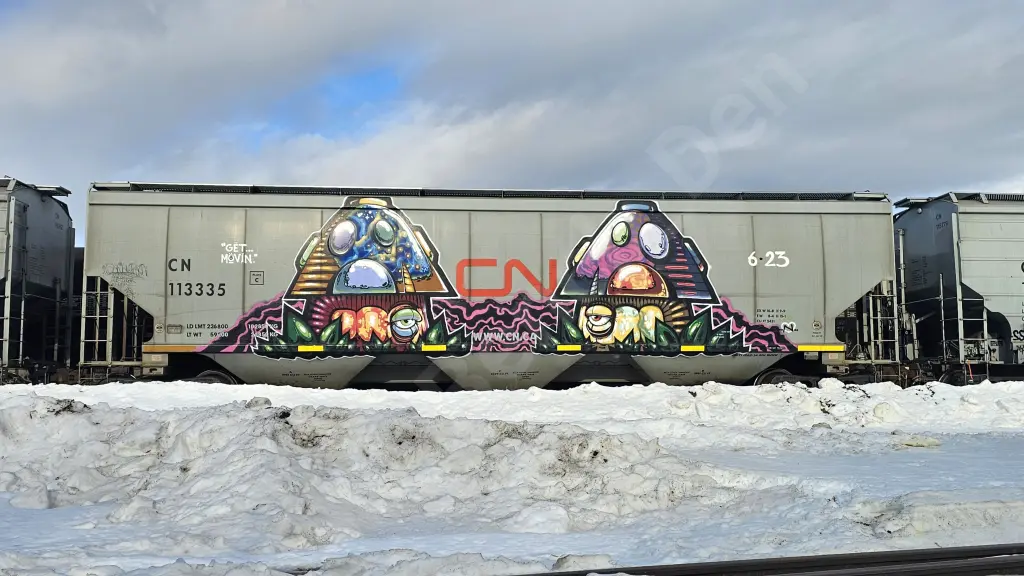 CN113335 - NORTH-AMERICA