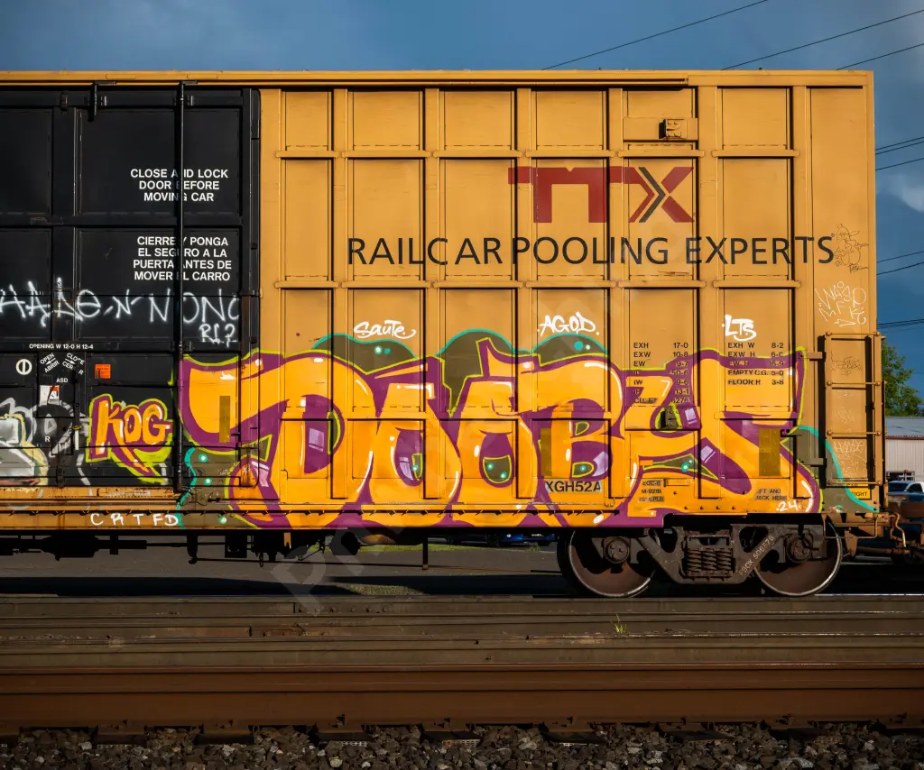 FBOX506876 - NORTH-AMERICA