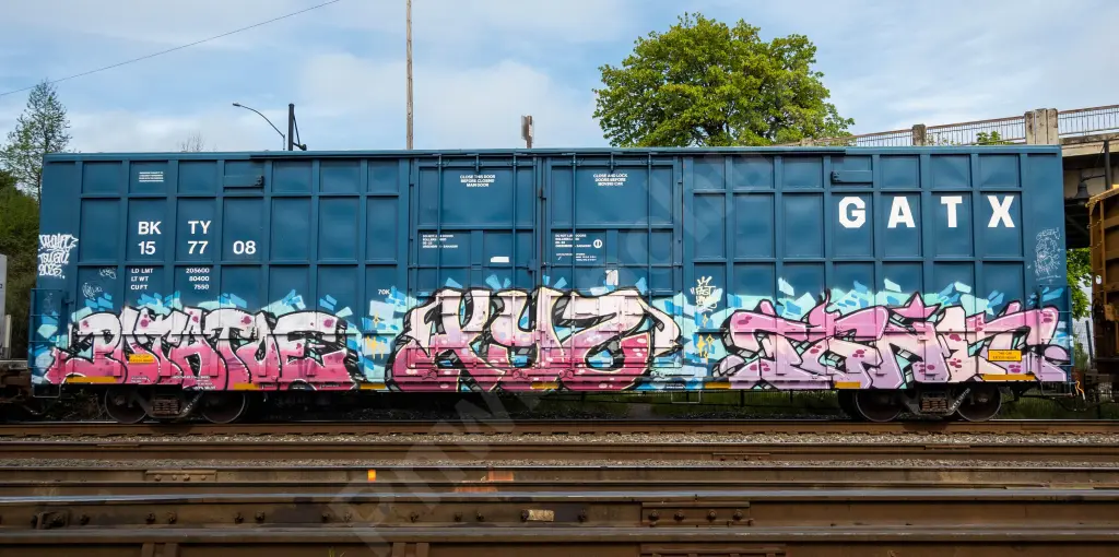 BKTY157708 - NORTH-AMERICA