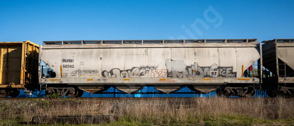 BLHX50342 - NORTH-AMERICA