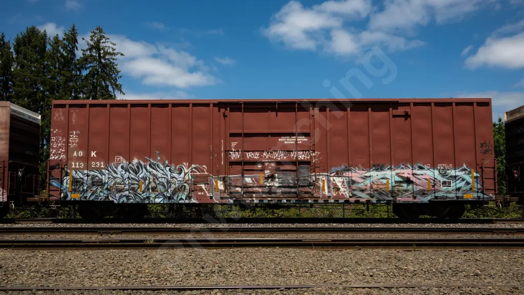 AOK113231 - NORTH-AMERICA