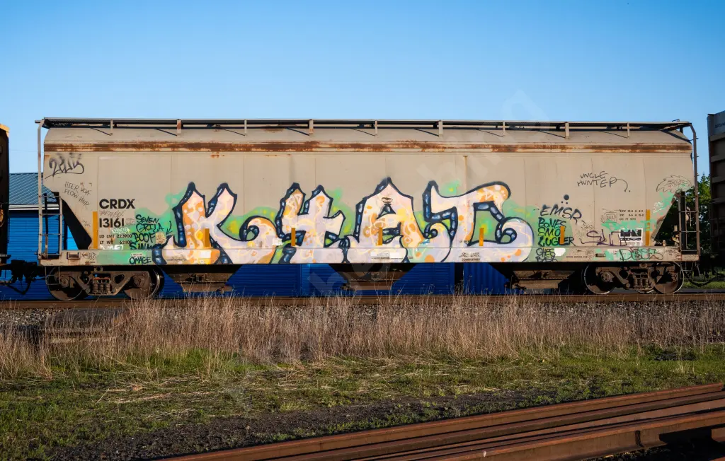 CRDX13161 - NORTH-AMERICA