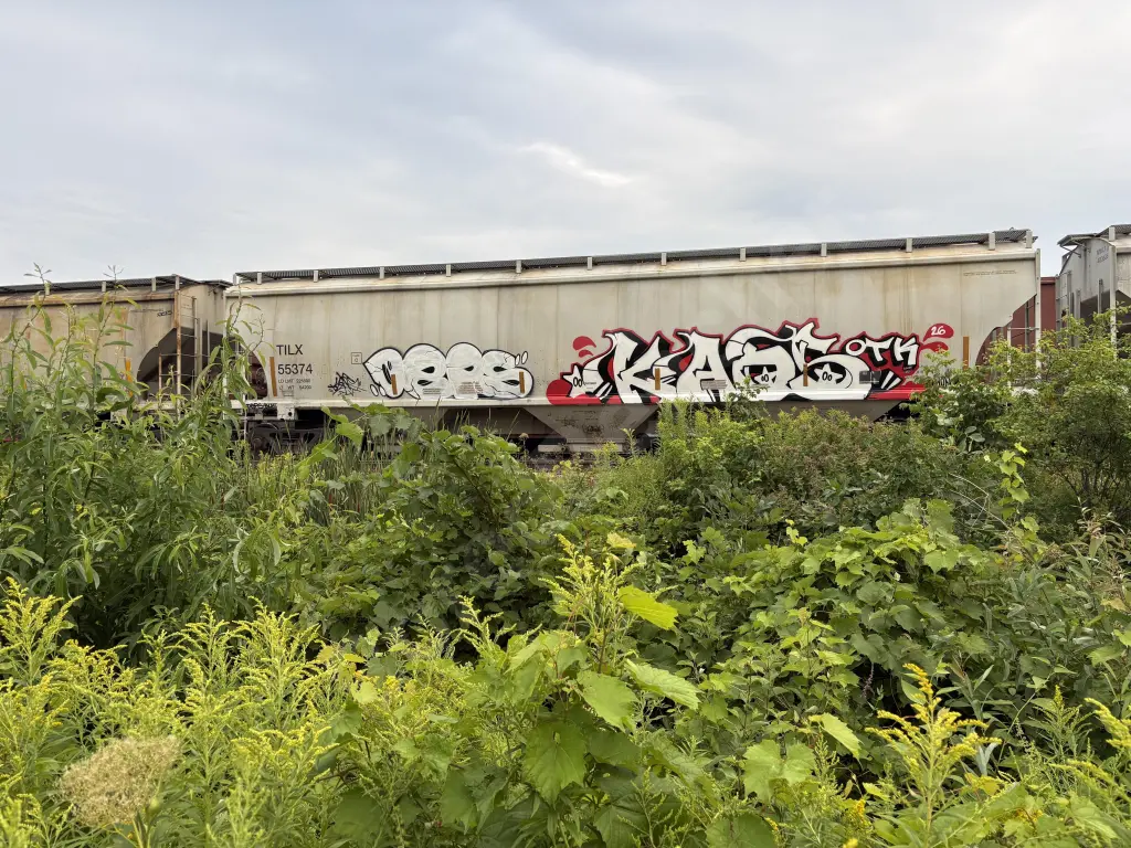 TILX55374 - NORTH-AMERICA