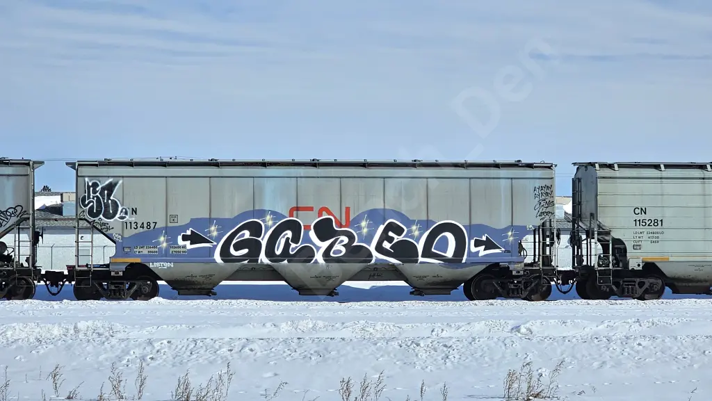 CN113487 - NORTH-AMERICA
