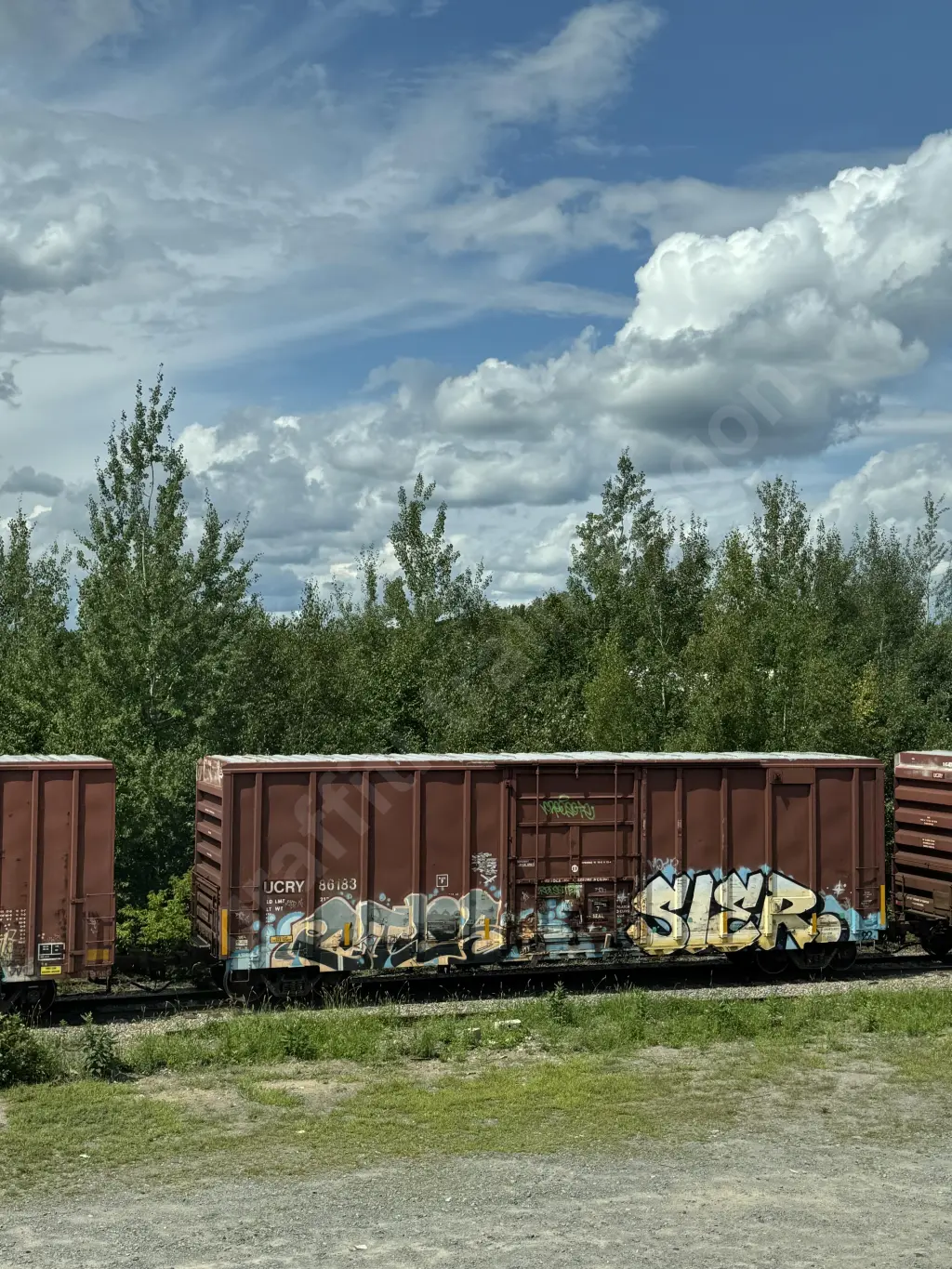 Train photo