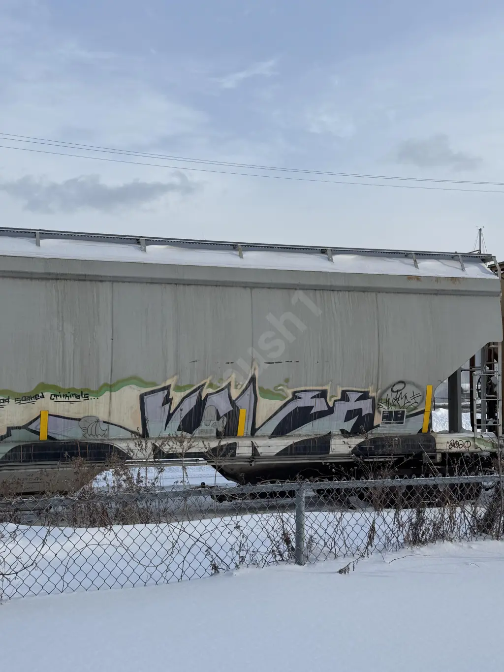 SOO116091 - NORTH-AMERICA