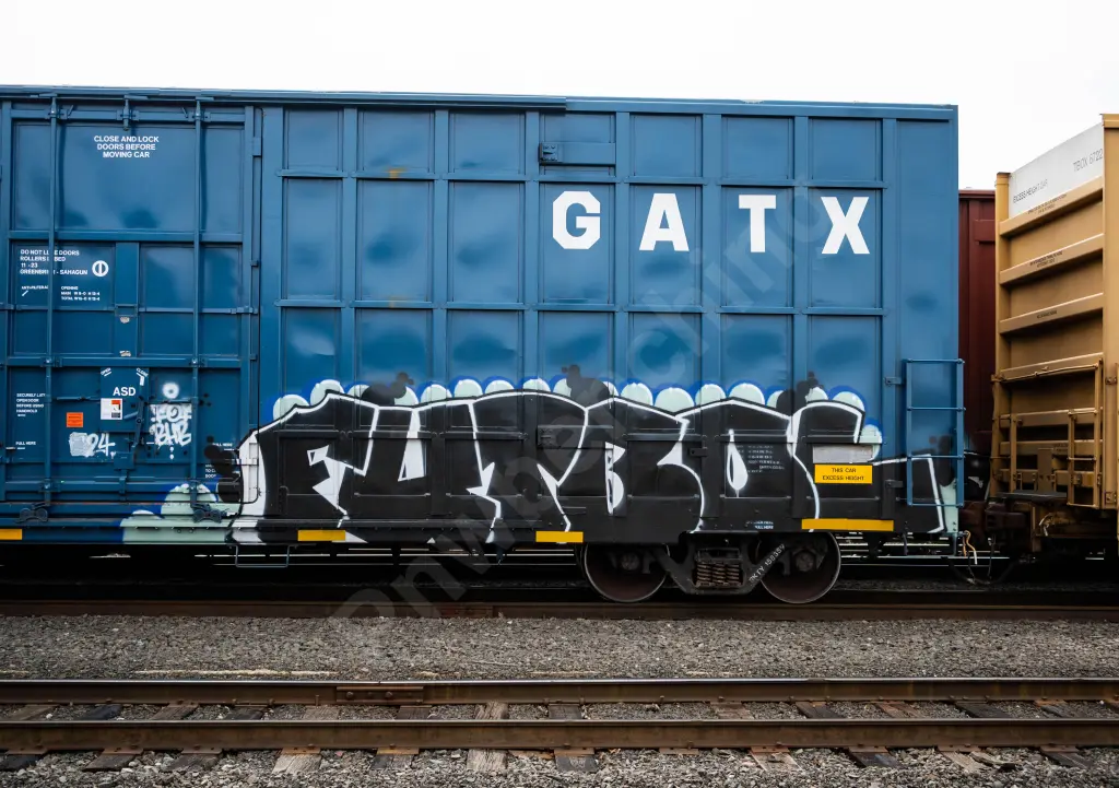 BKTY158359 - NORTH-AMERICA