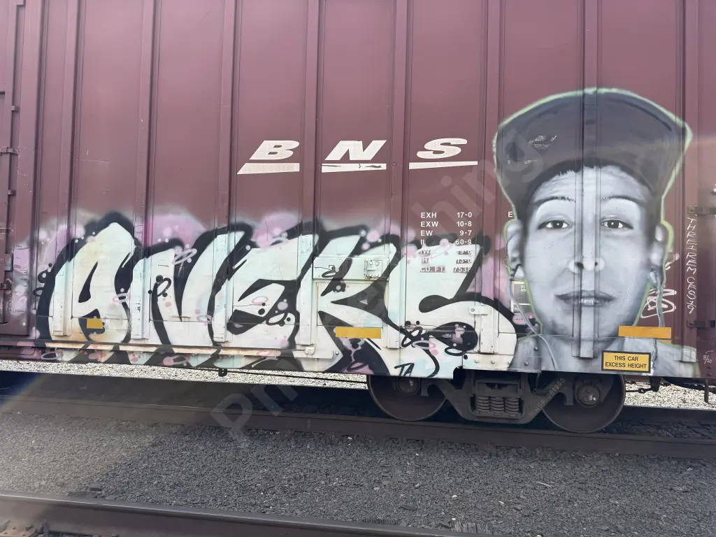 BNSF761990 - NORTH-AMERICA
