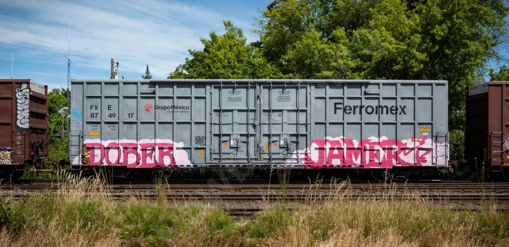 FXE874917 - NORTH-AMERICA