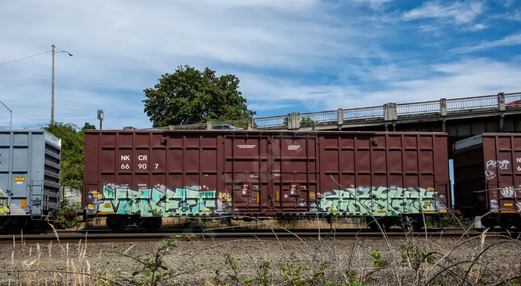 NKCR66907 - NORTH-AMERICA