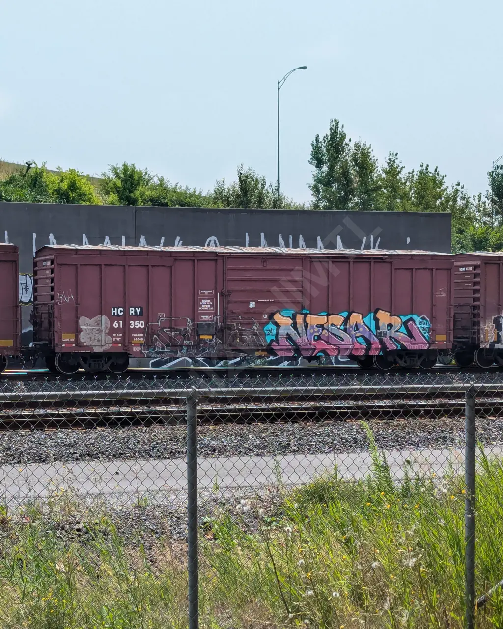 HCRY61350 - NORTH-AMERICA