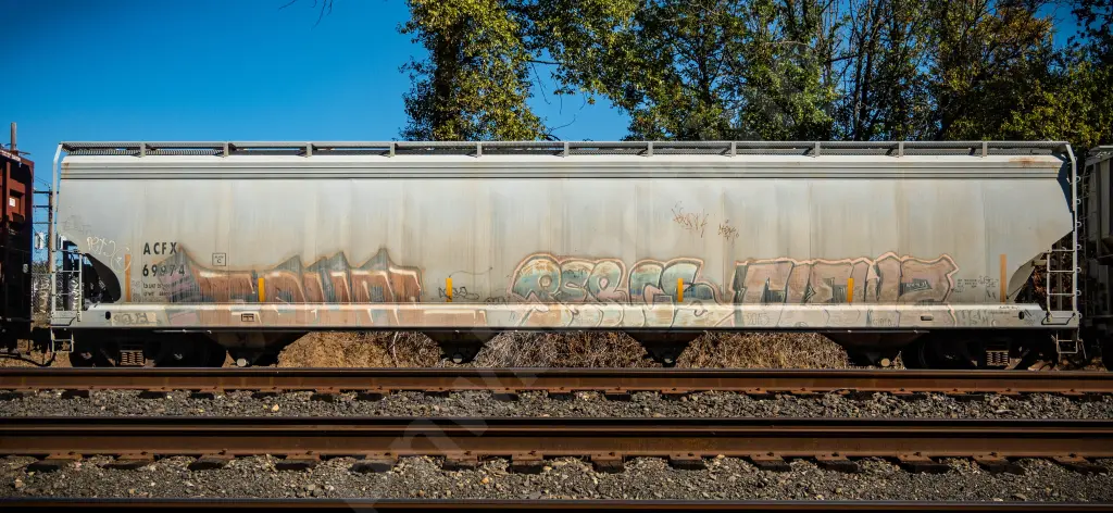 ACFX69974 - NORTH-AMERICA