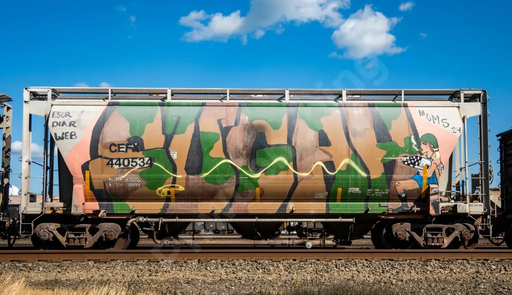 CEFX440534 - NORTH-AMERICA
