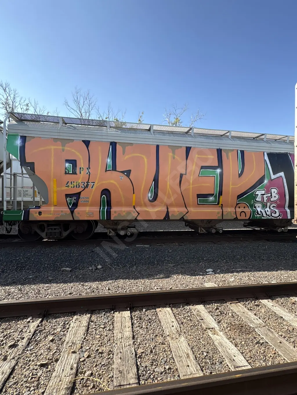 SHPX458377 - NORTH-AMERICA