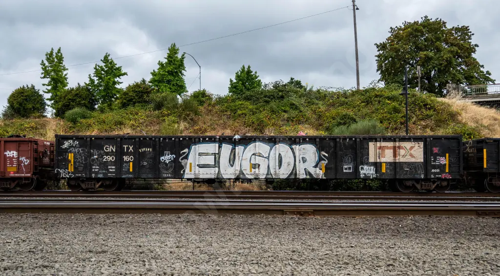 GNTX290160 - NORTH-AMERICA
