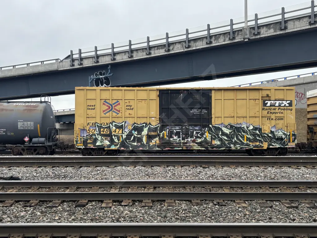 FBOX504847 - NORTH-AMERICA