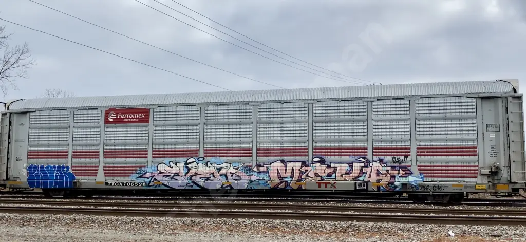 TTGX706538 - NORTH-AMERICA