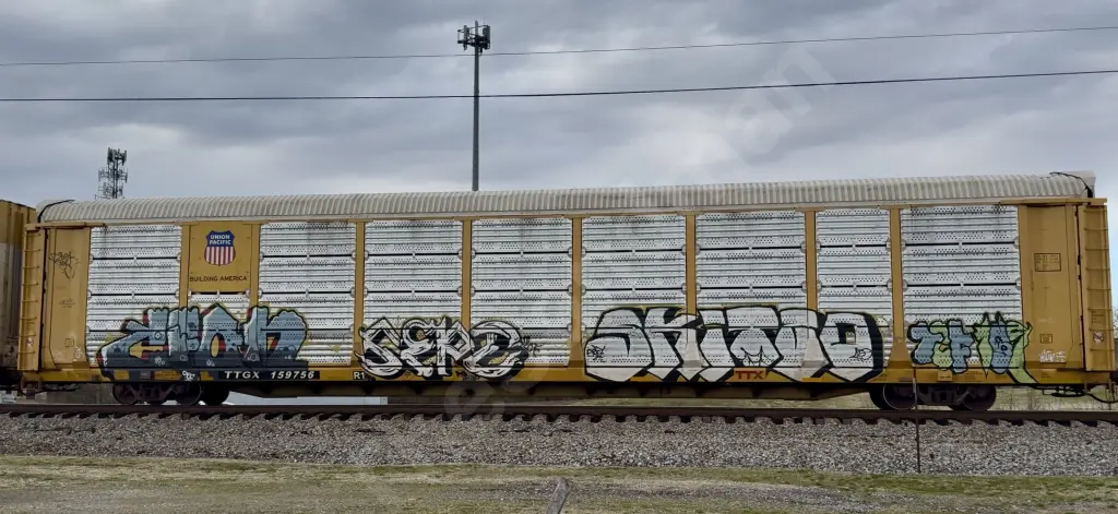 TTGX159756 - NORTH-AMERICA