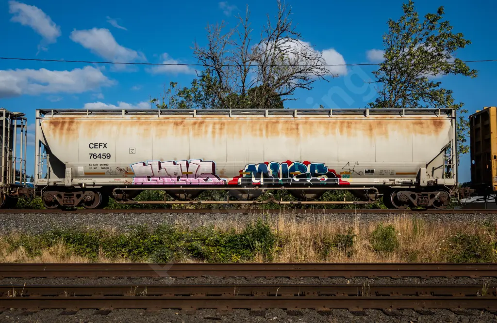 CEFX76459 - NORTH-AMERICA