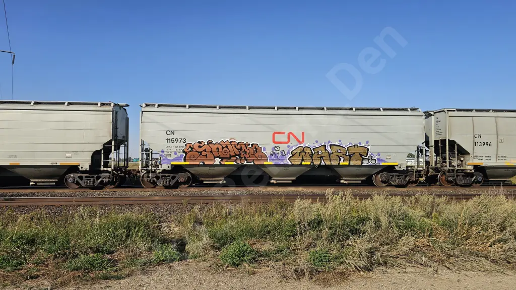 CN115973 - NORTH-AMERICA