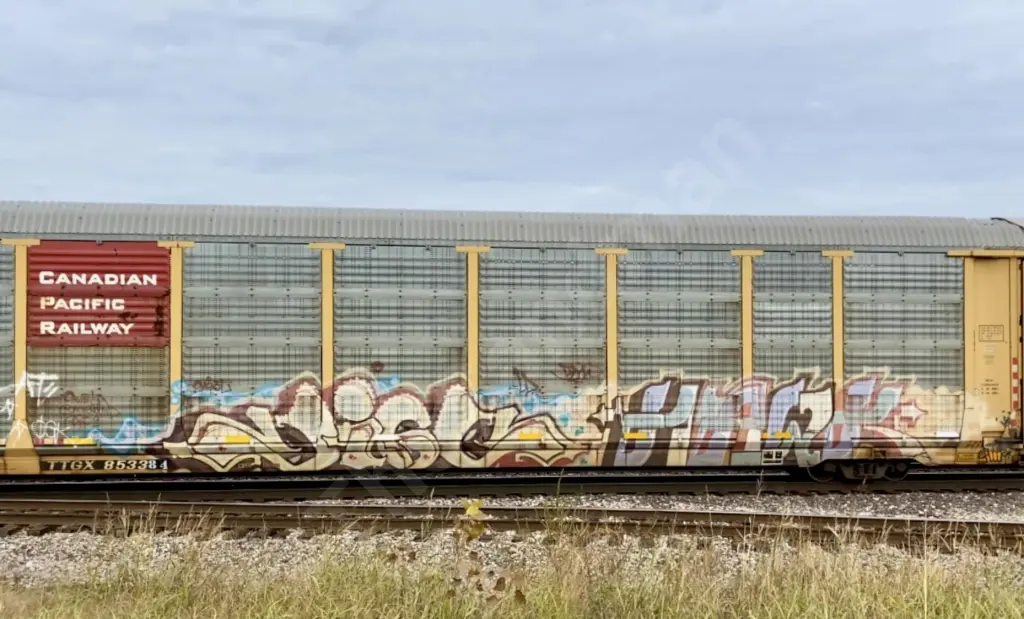 TTGX853384 - NORTH-AMERICA
