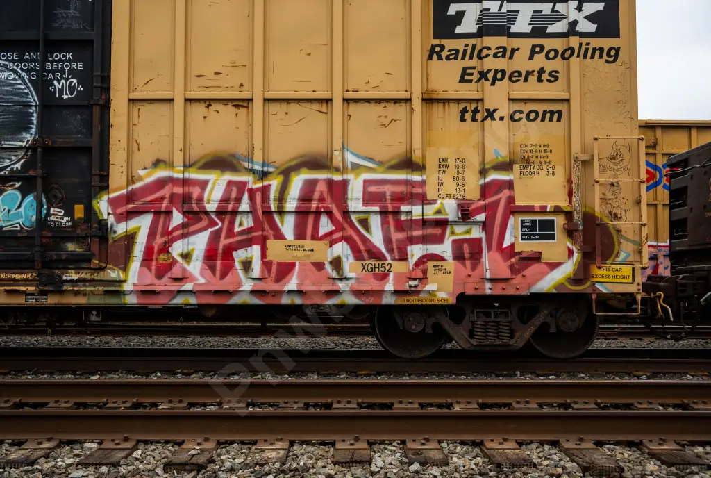 FBOX505074 - NORTH-AMERICA