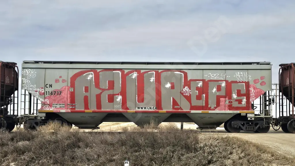 CN114717 - NORTH-AMERICA