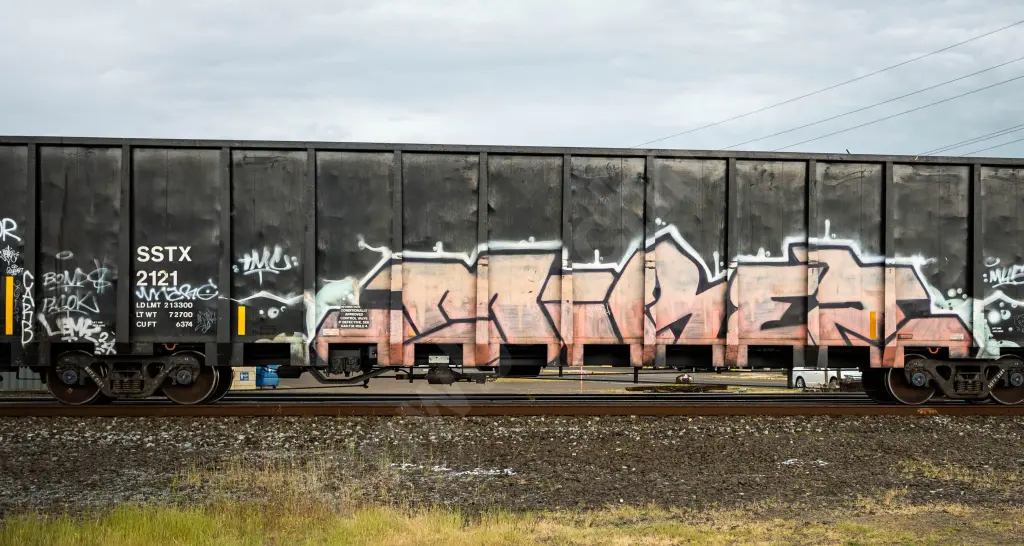 SSTX2121 - NORTH-AMERICA