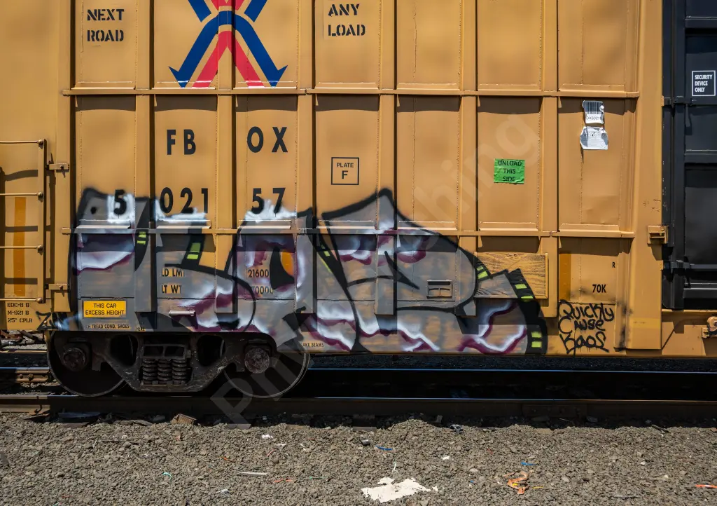 FBOX502157 - NORTH-AMERICA