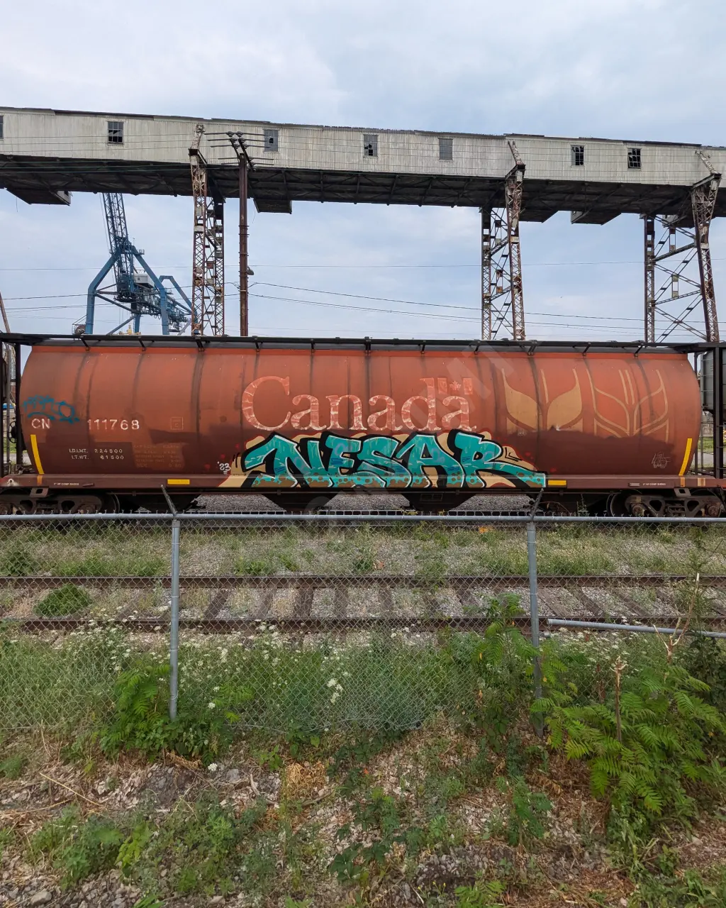 Train photo