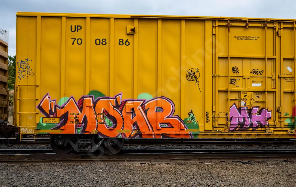 UP700886 - NORTH-AMERICA