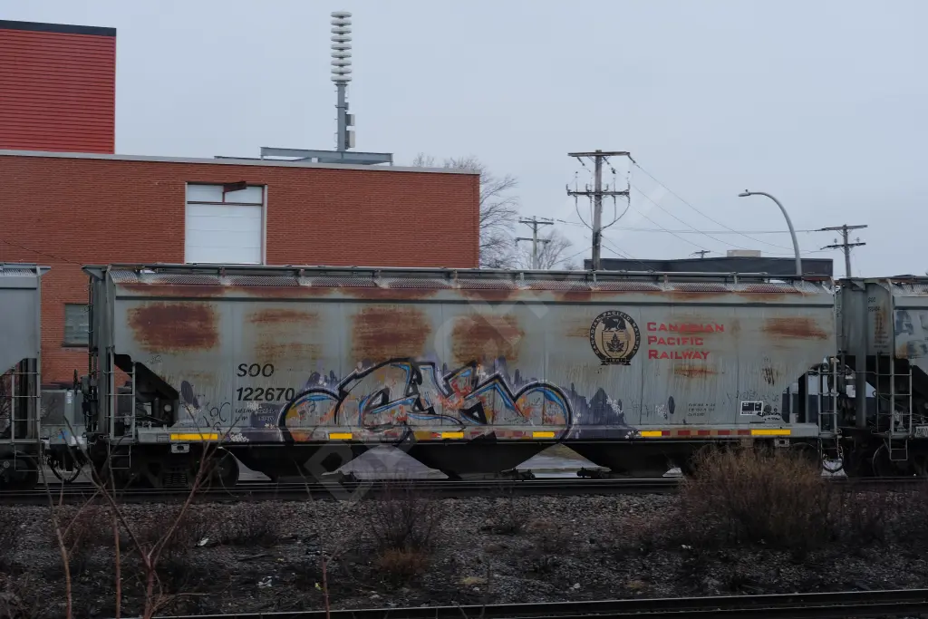 SOO122670 - NORTH-AMERICA