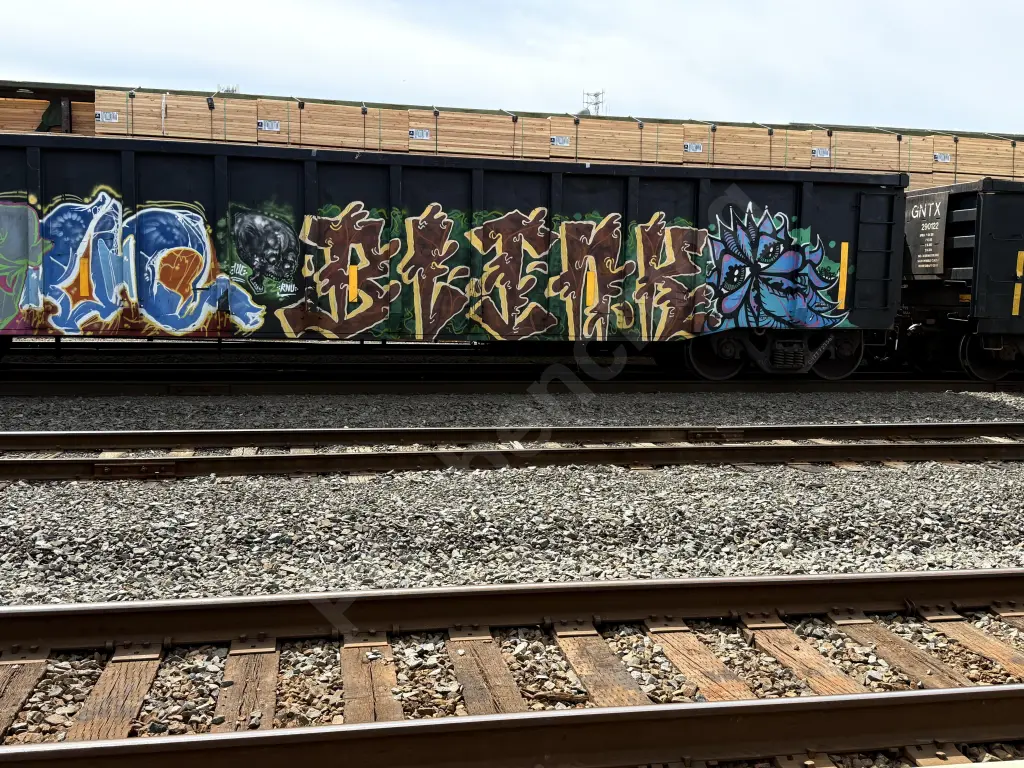 CHTT723553 - NORTH-AMERICA