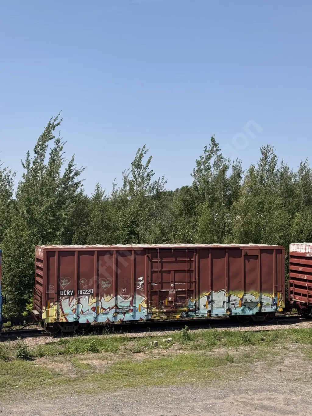 UCRY86220 - NORTH-AMERICA