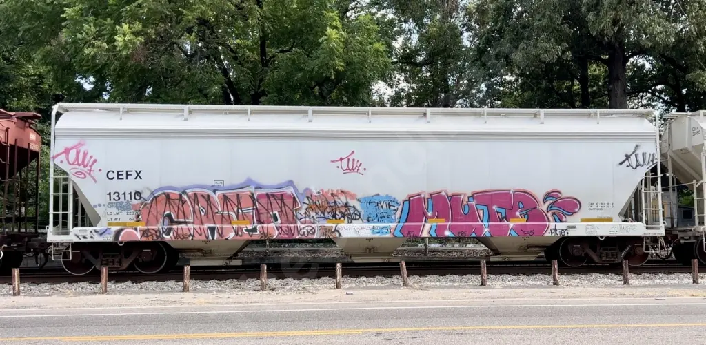 CEFX13110 - NORTH-AMERICA