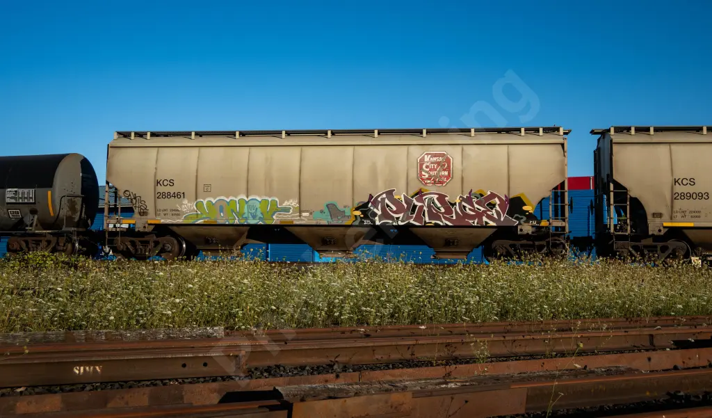 KCS288461 - NORTH-AMERICA