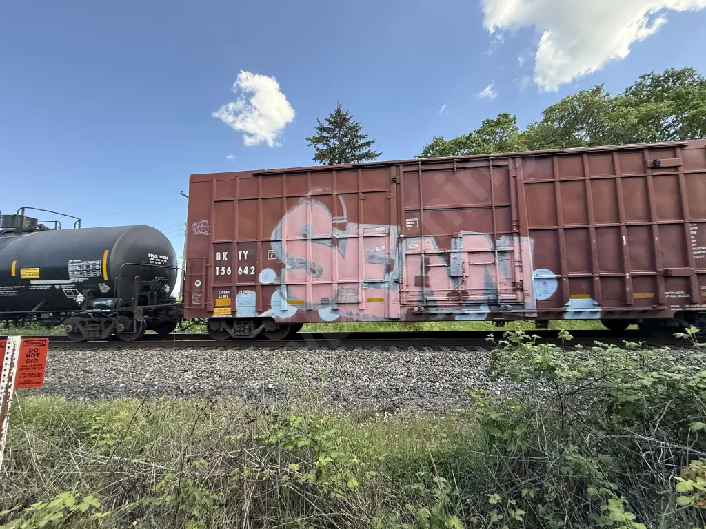 BKTY156642 - NORTH-AMERICA
