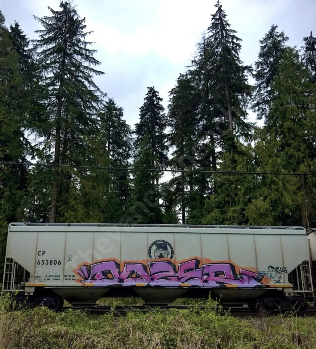CP653806 - NORTH-AMERICA