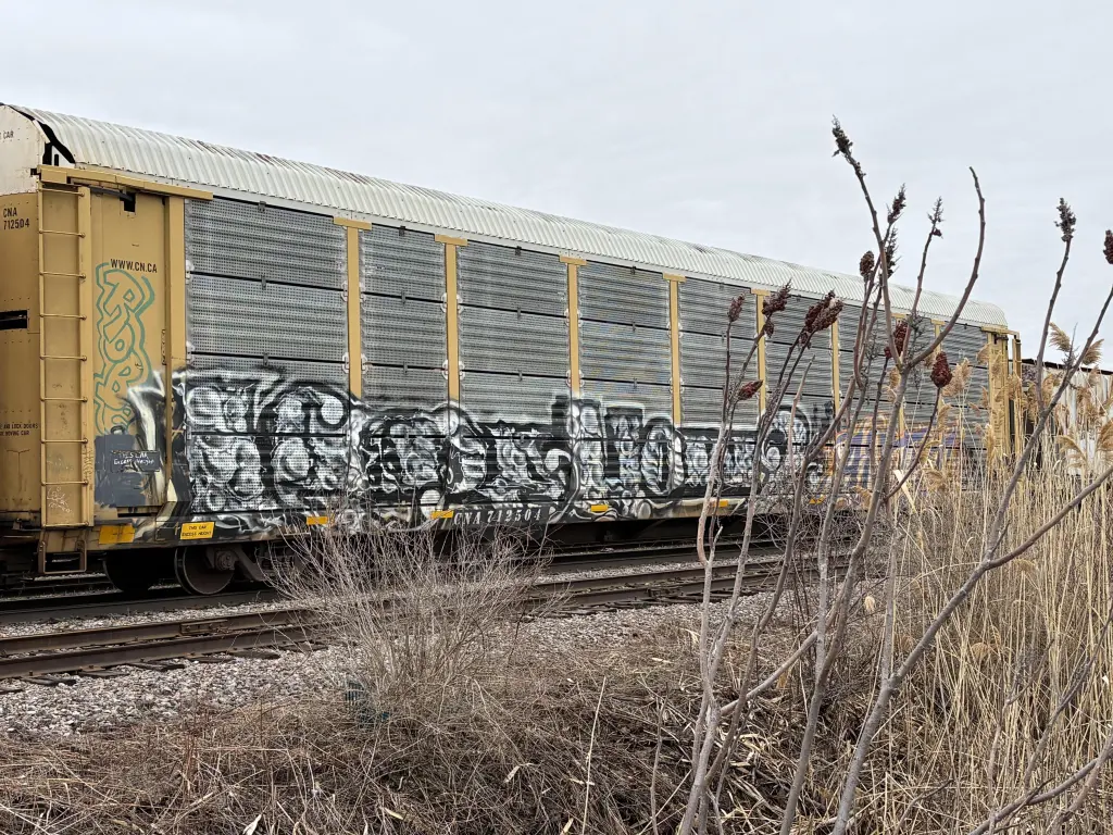CNA712504 - NORTH-AMERICA