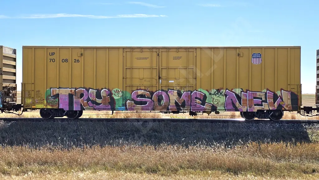 UP700826 - NORTH-AMERICA