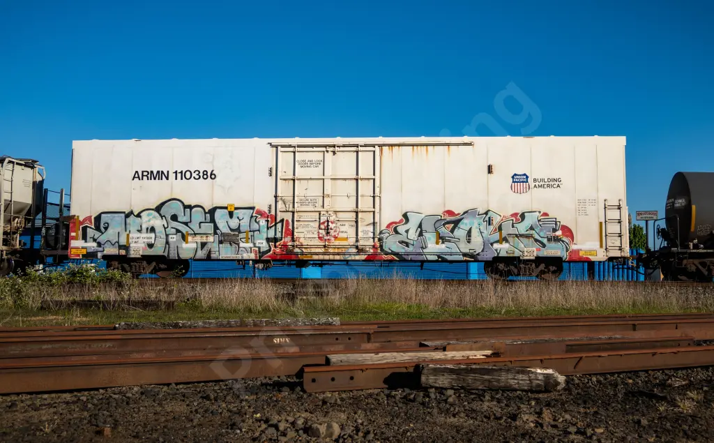 ARMN110386 - NORTH-AMERICA