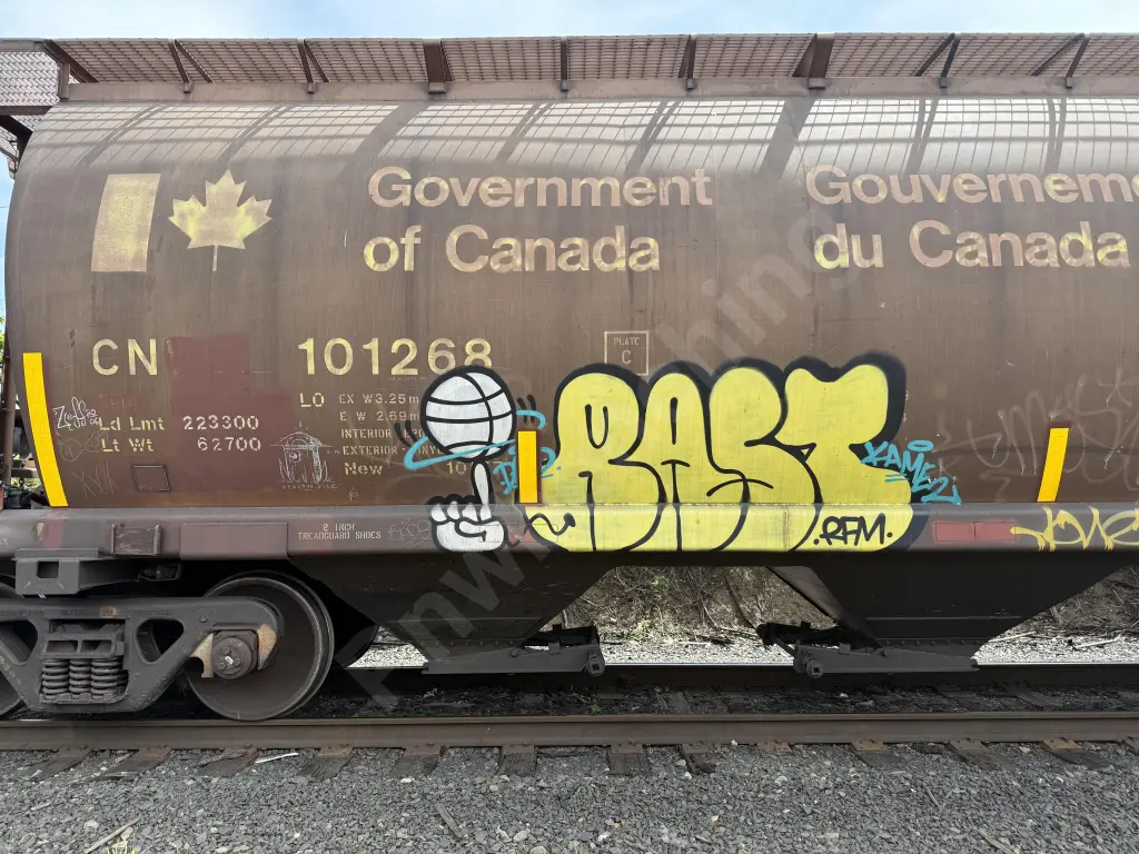 CN101268 - NORTH-AMERICA