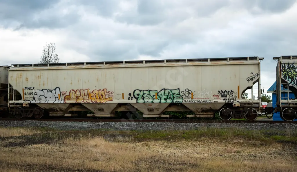 MWCX480513 - NORTH-AMERICA